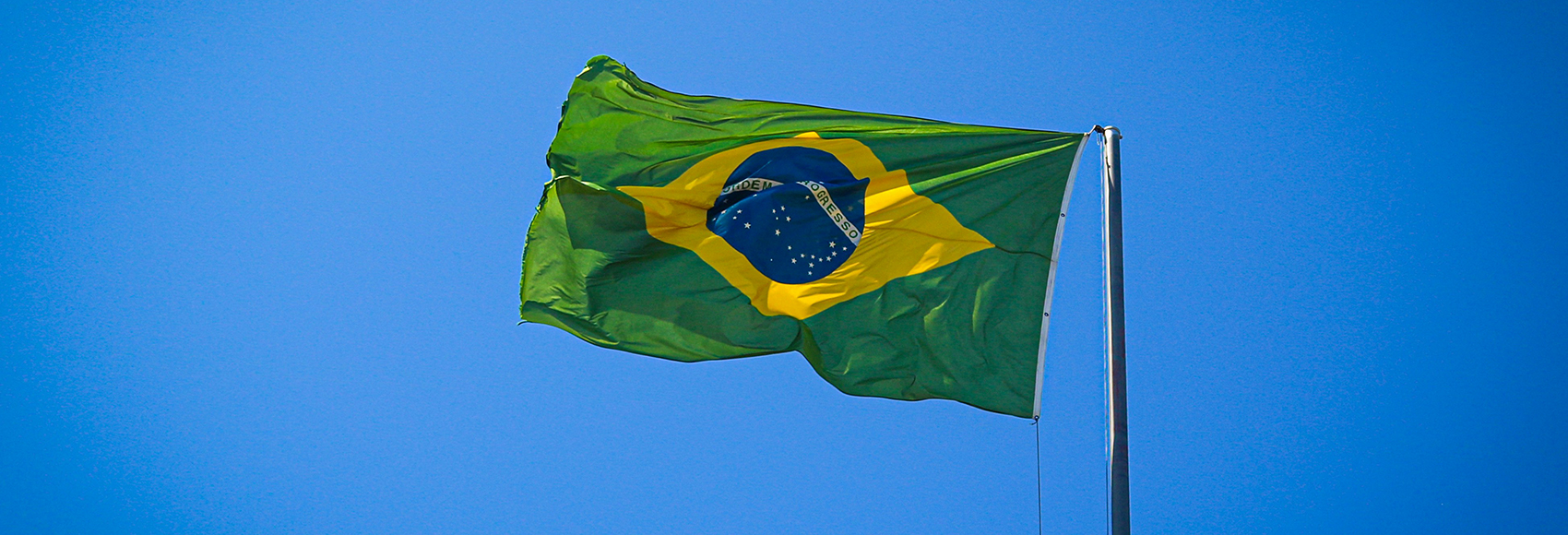 Brazil on the Path to Market Liberalization